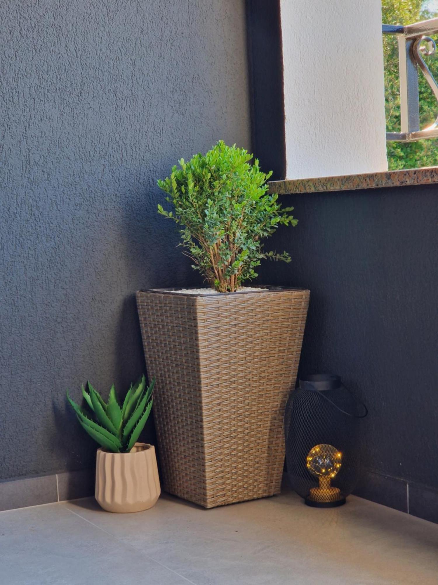 Apartments Jasna Rovinj Phòng bức ảnh