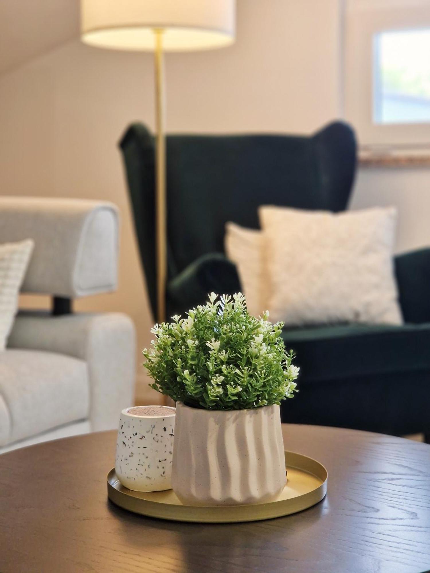 Apartments Jasna Rovinj Ngoại thất bức ảnh